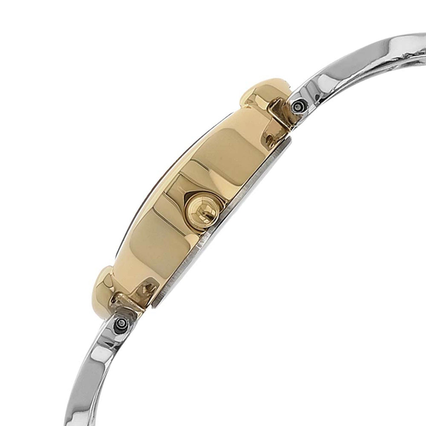 Titan RAGA FLORA Silver Dial Analog Stainless Steel Strap watch for Women