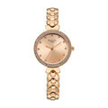Titan Raga Champagne Dial Gold Stainless Steel Strap Analog Watch for Women